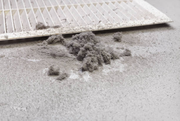 Best Local Air Duct Cleaning Services  in Lone Star, TX