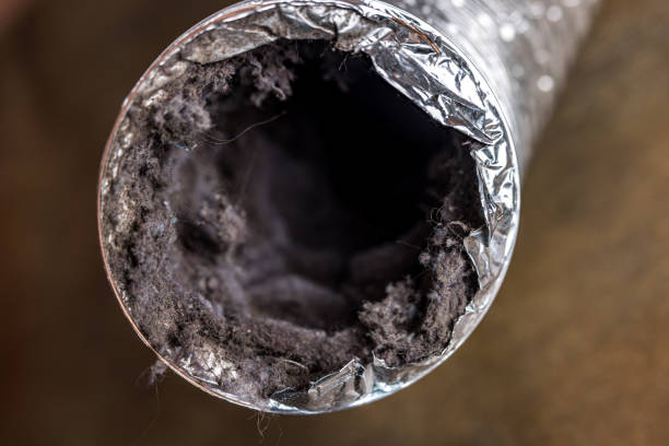 Best Dryer Vent Cleaning Services  in Lone Star, TX