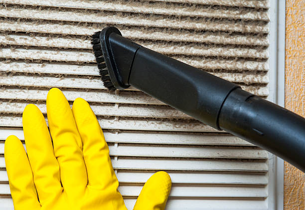 Best Local Air Duct Cleaning Services  in Lone Star, TX